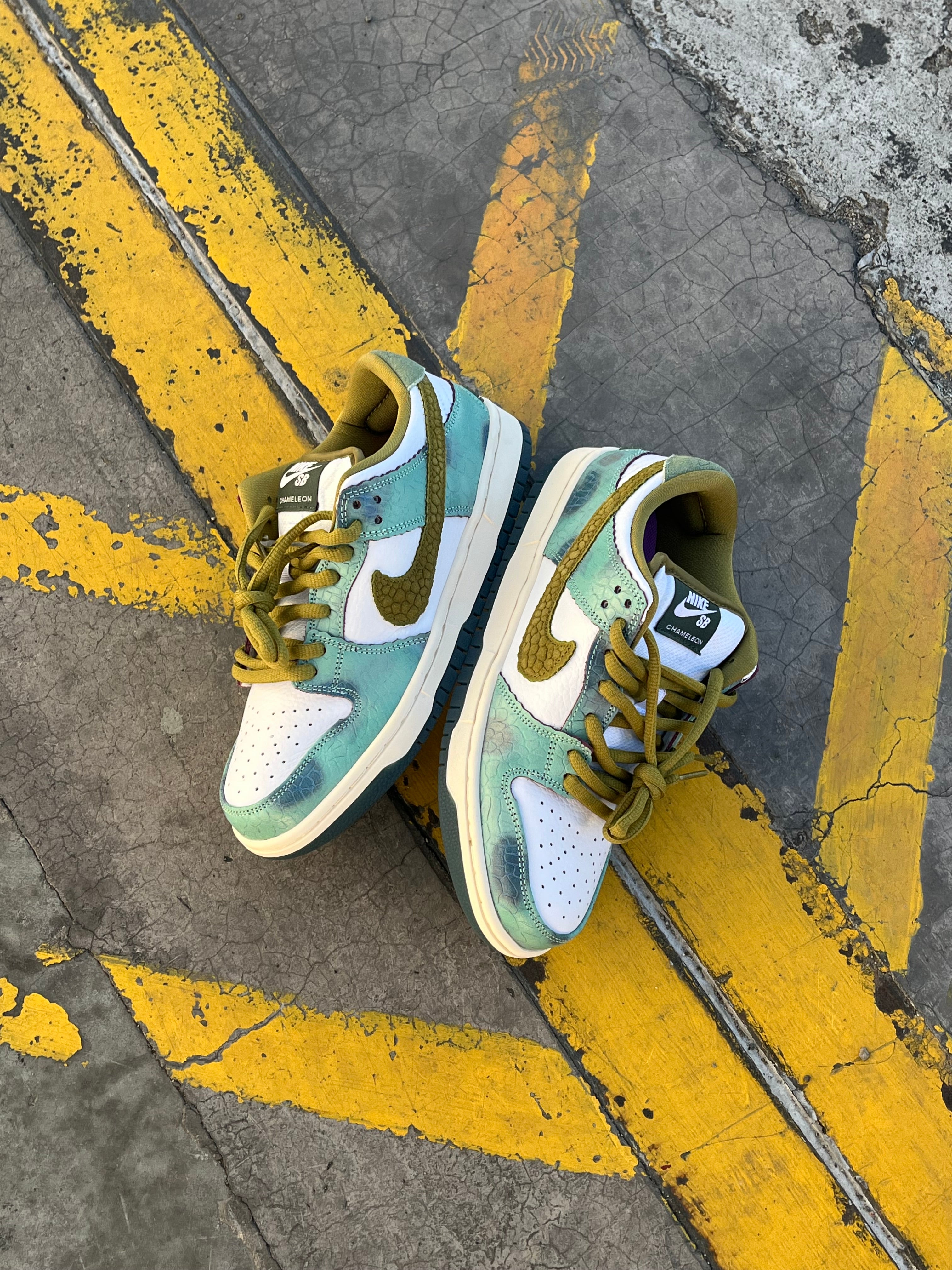 Nike SB Dunk Low Alexis Sablone Chameleon