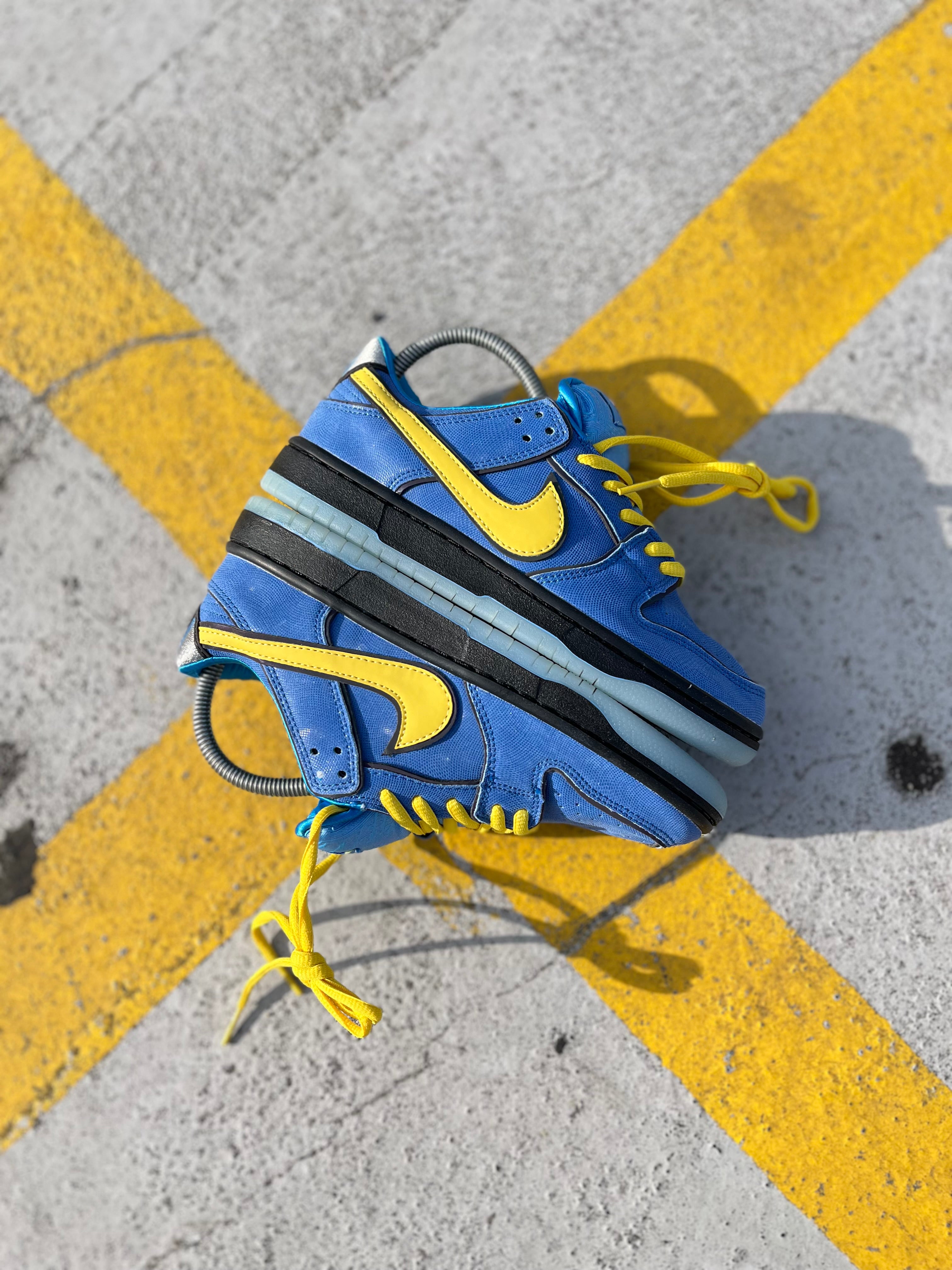 Nike Sb Dunk Low "Super Powerful Girls"