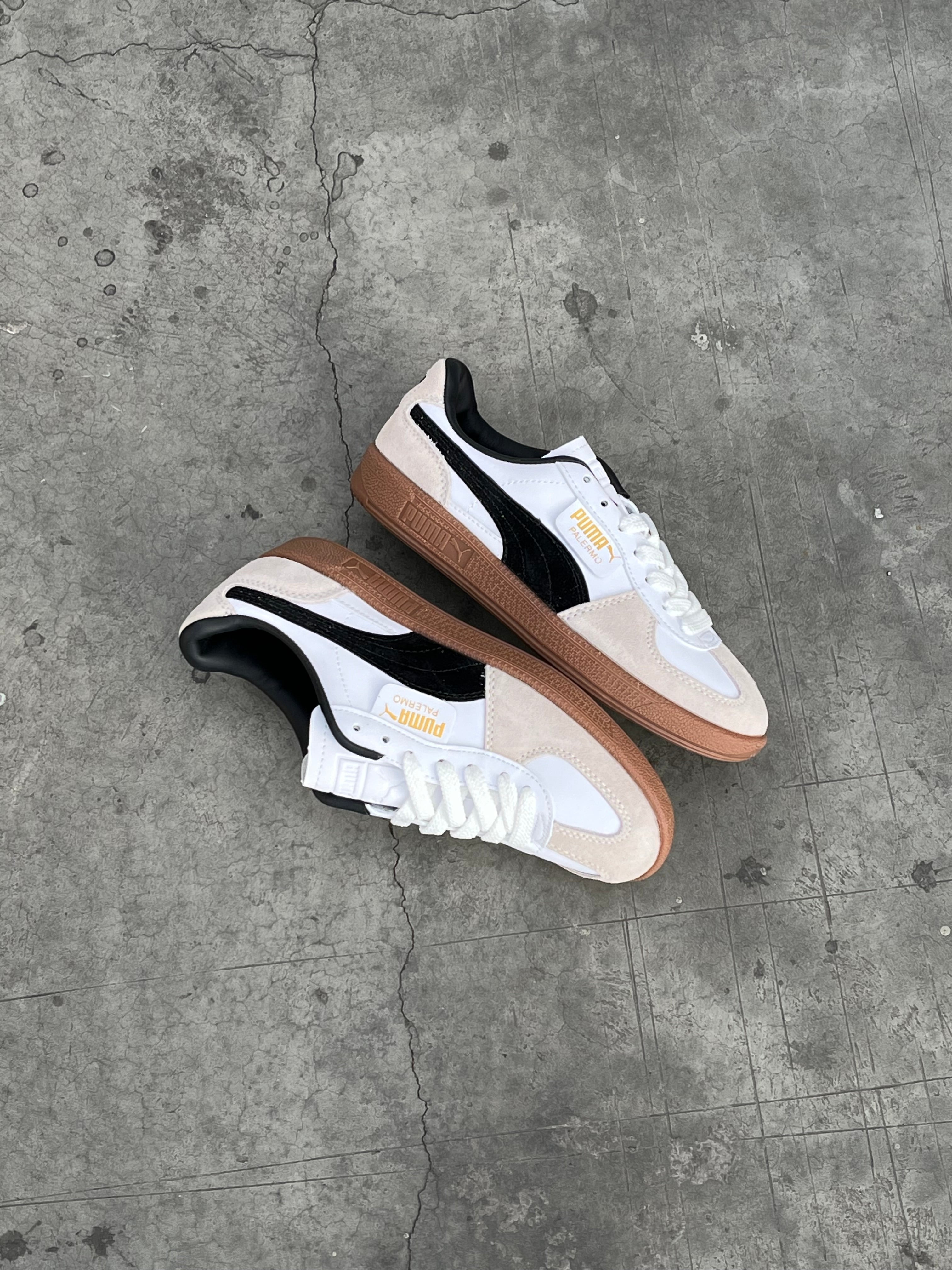Puma Palermo Special