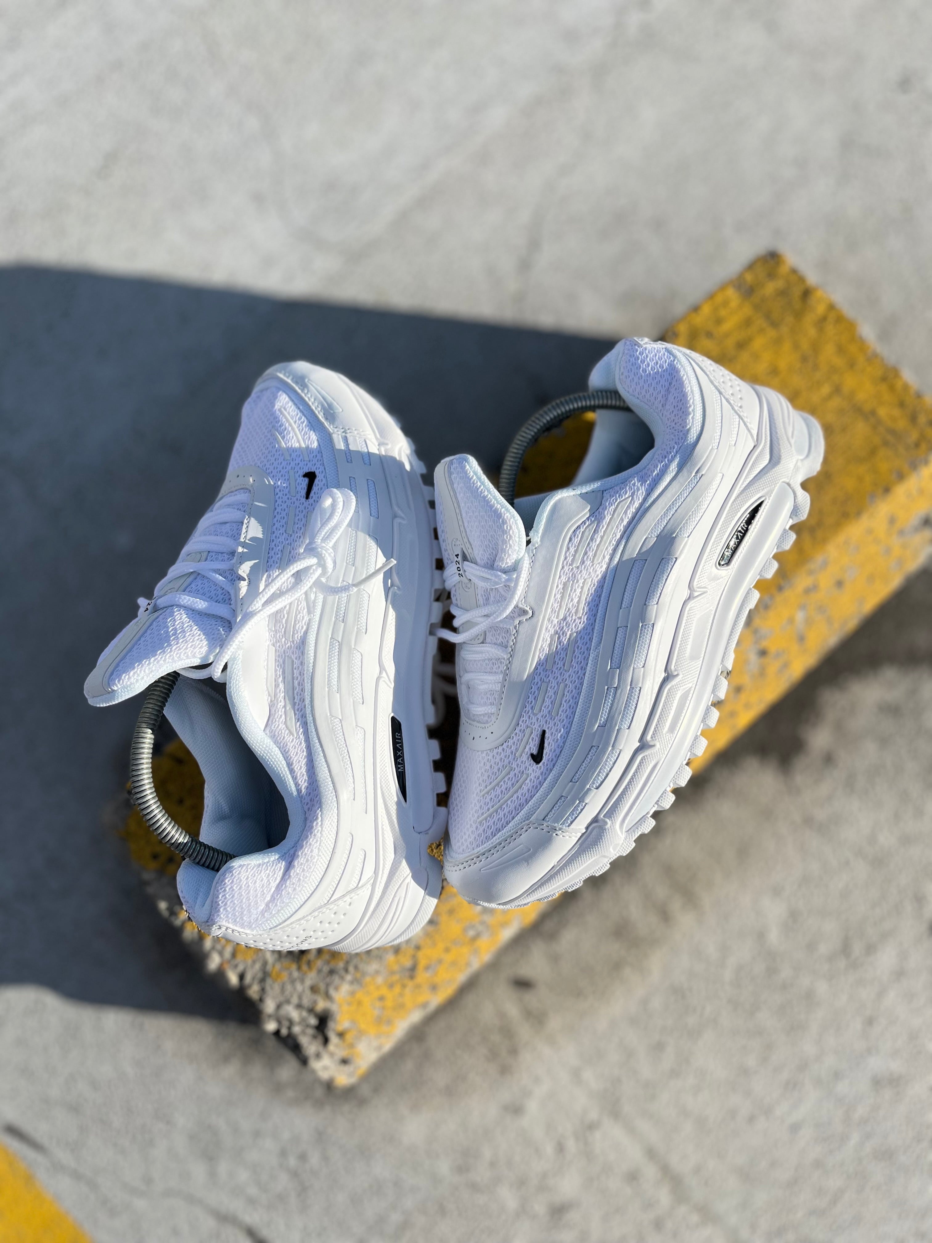 Nike Air Max TL 2.5