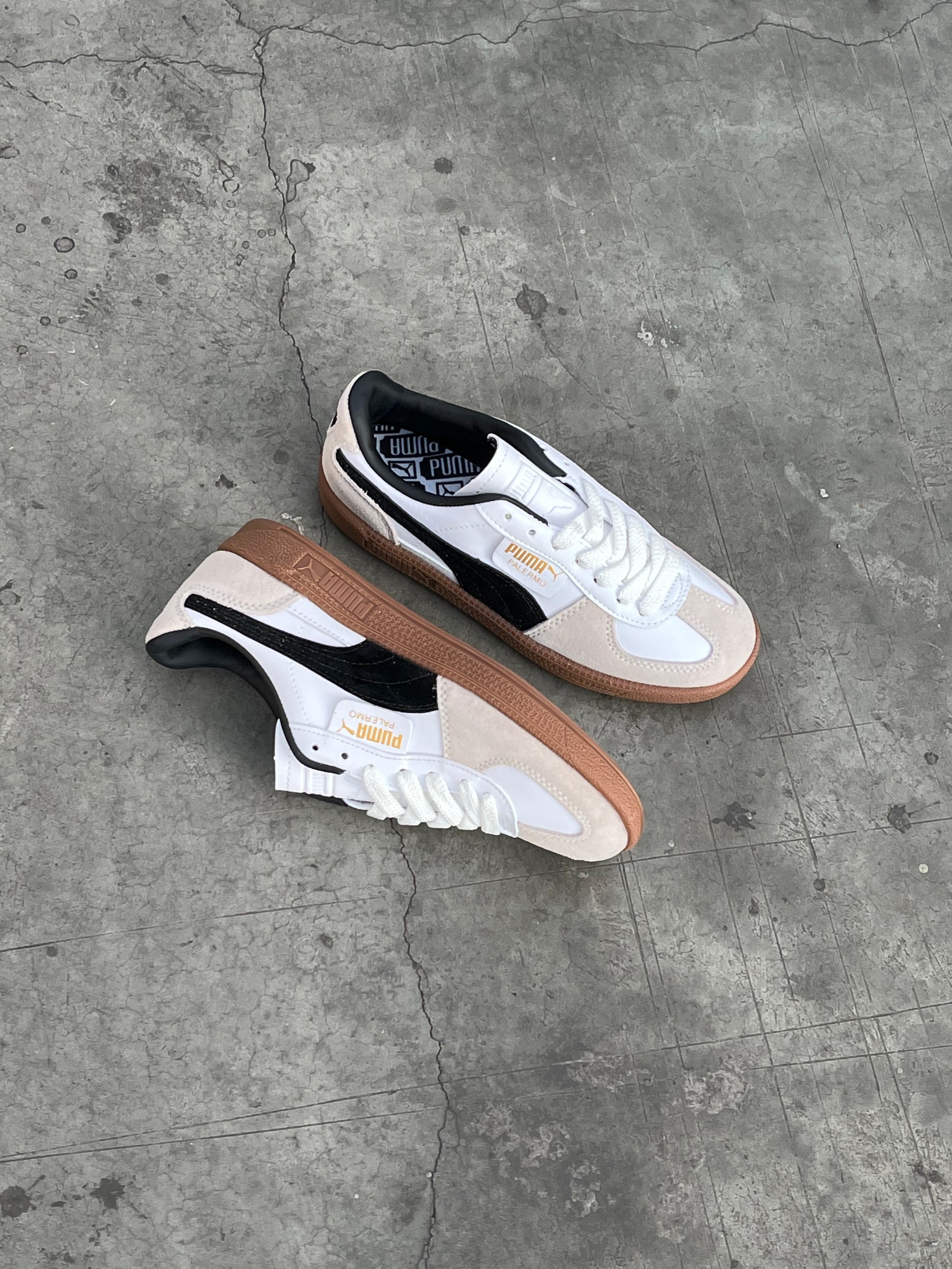 Puma Palermo Special