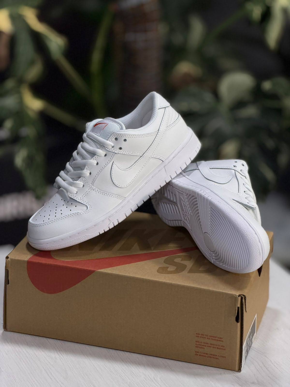 Nike Sb Dunk Lo Pro ISO